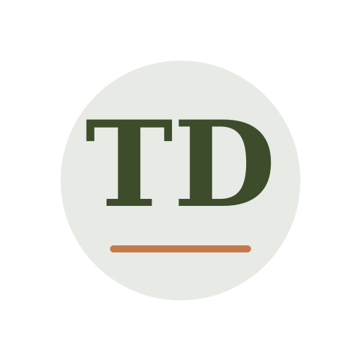 Terry Dryer Vent Services logo